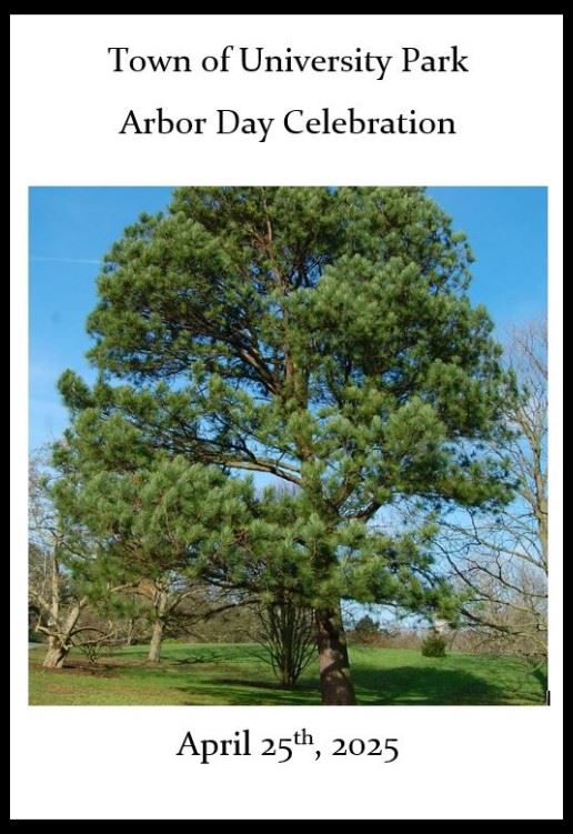 Arbor Day brochure picture of trees on white background